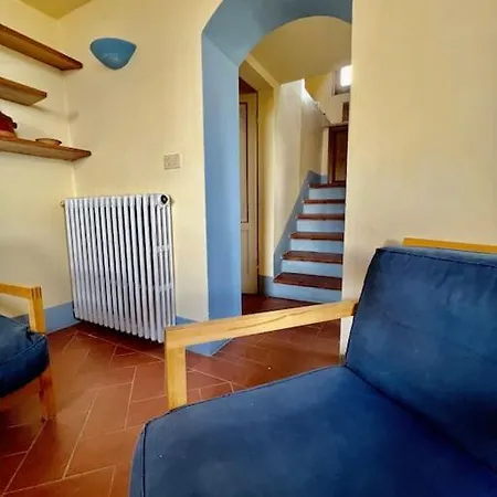 Roofview In