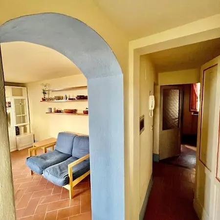 Roofview In