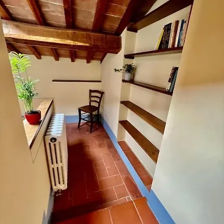 Roofview In *